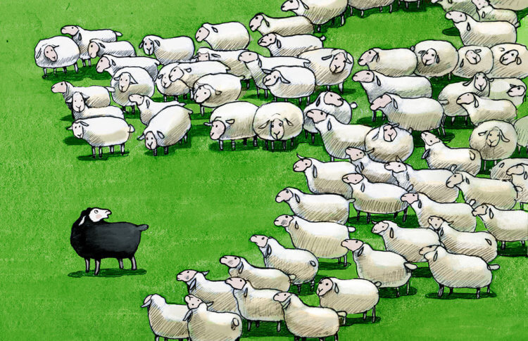Black sheep work campers - RV Park Marketing